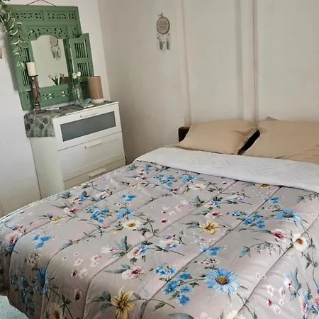 Les Hiboux Du Sud *